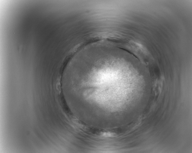 X0000068300360200605051939