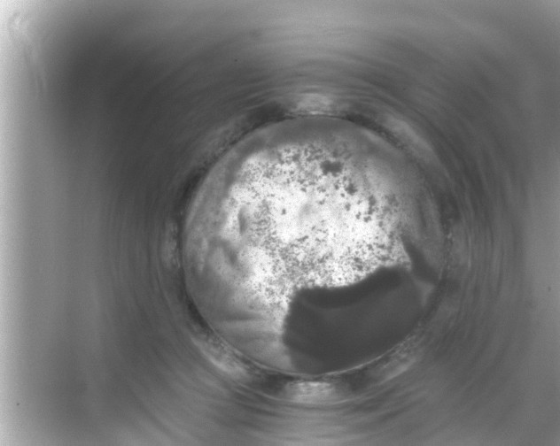 X0000068300361200605051939