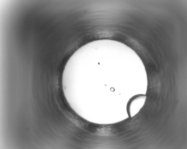 X0000068300362200605051939