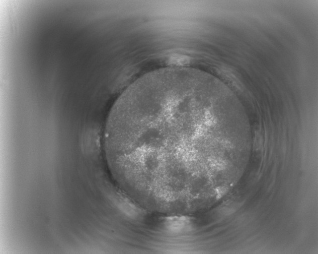 X0000068300363200605051939