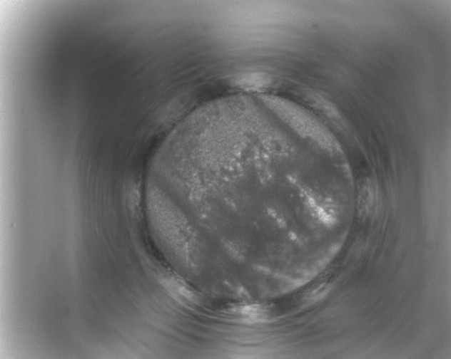 X0000068300365200605051939