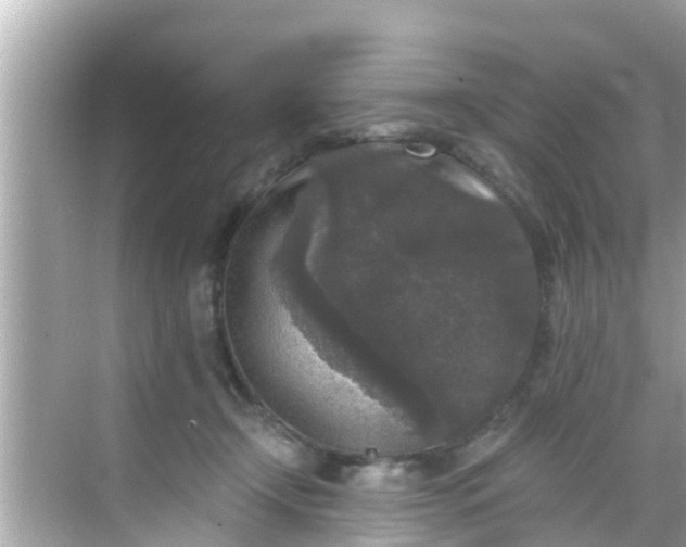 X0000068300366200605051939