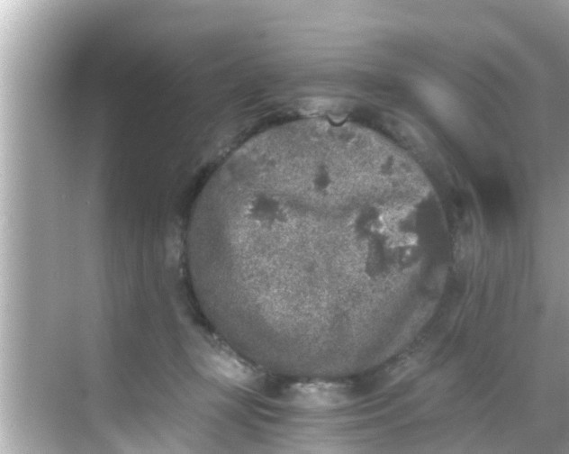 X0000068300367200605051939