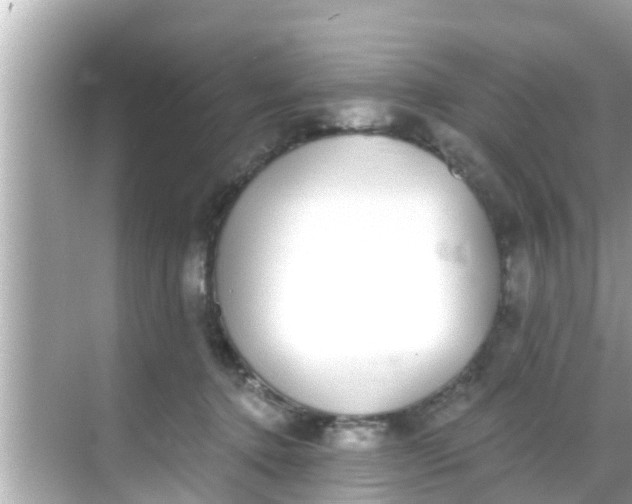 X0000068300368200605051939