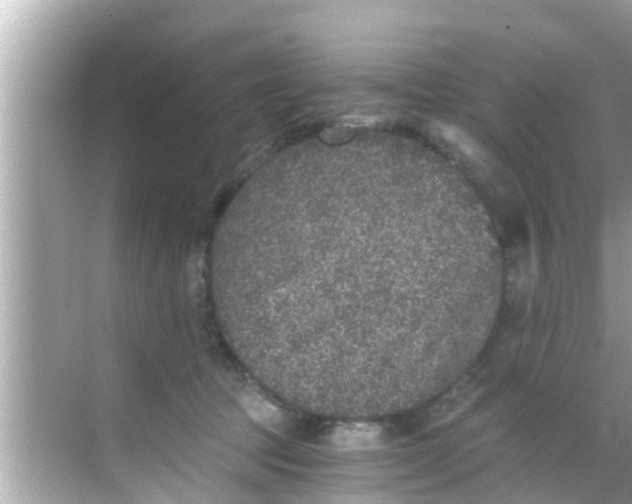 X0000068300369200605051939