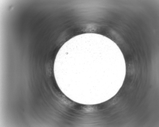 X0000068300370200605051939