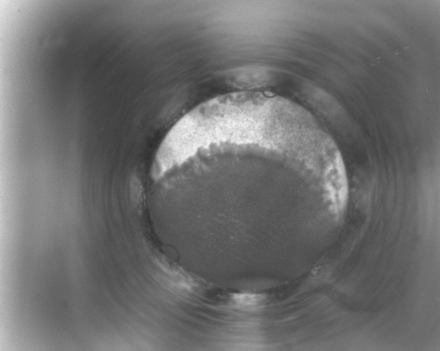 X0000068300371200605051939