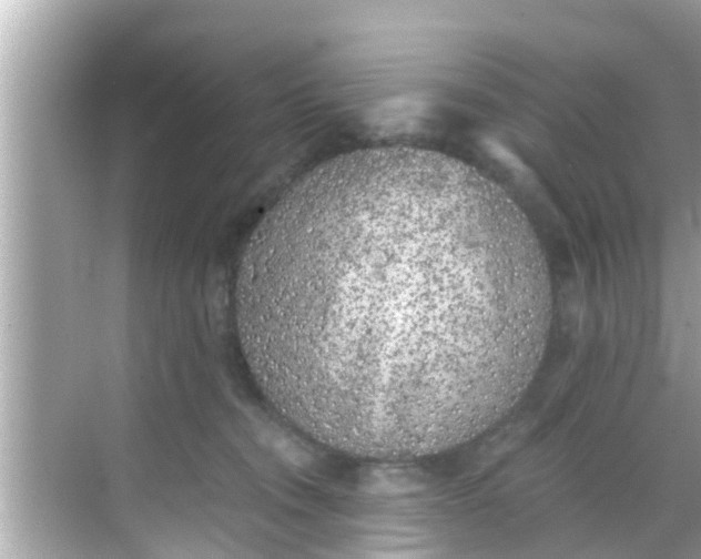 X0000068300372200605051939