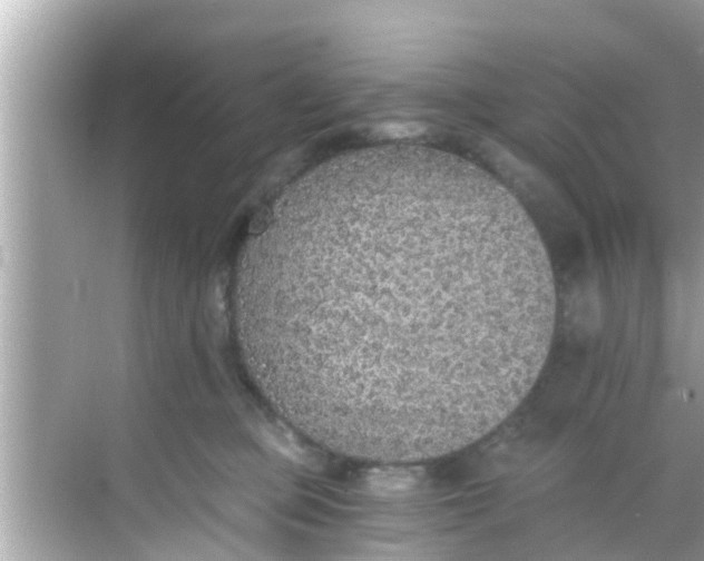 X0000068300373200605051939