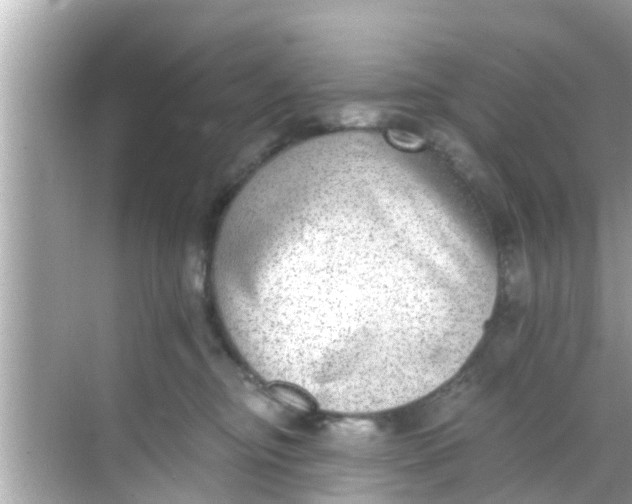 X0000068300374200605051939