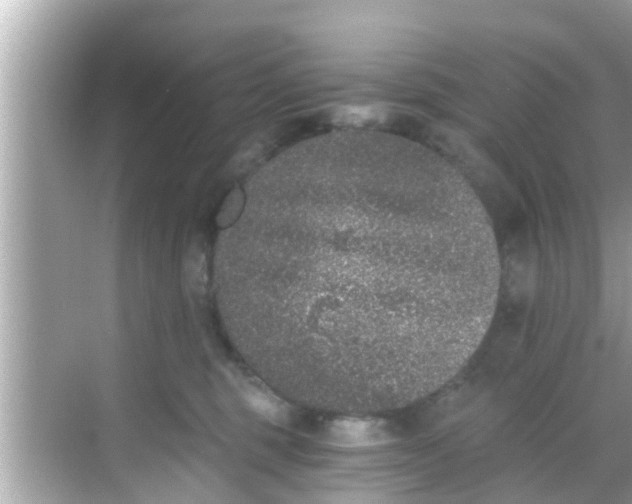 X0000068300375200605051939