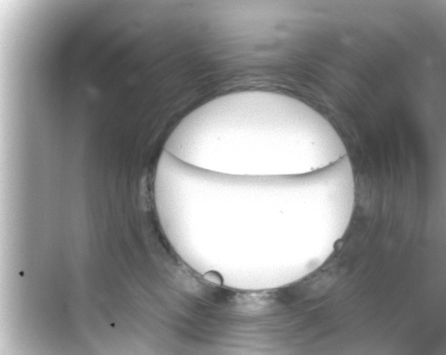 X0000068300378200605051939