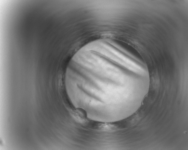 X0000068300379200605051939