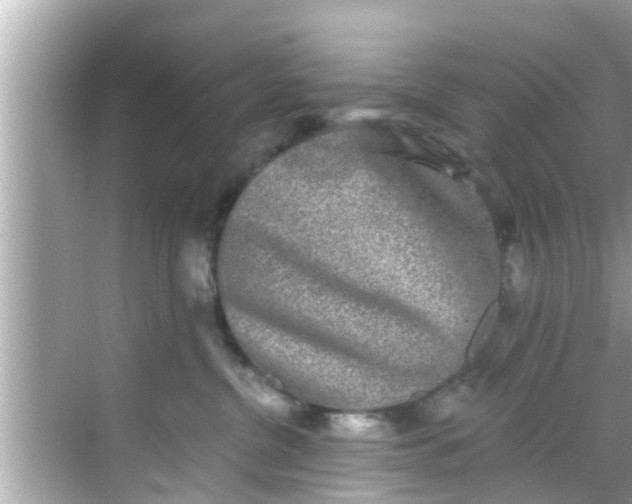 X0000068300380200605051939