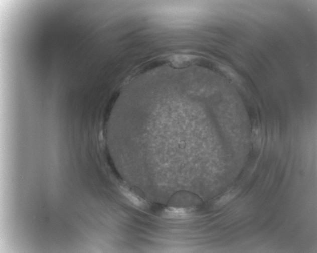 X0000068300381200605051939