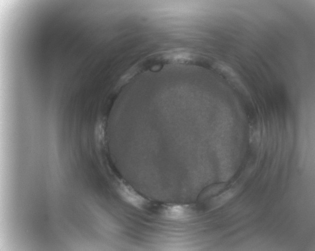 X0000068300382200605051939