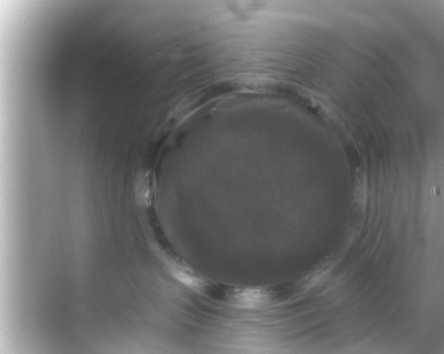 X0000068300383200605051939