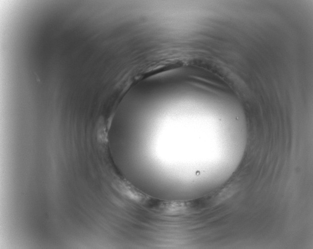 X0000068300384200605051939