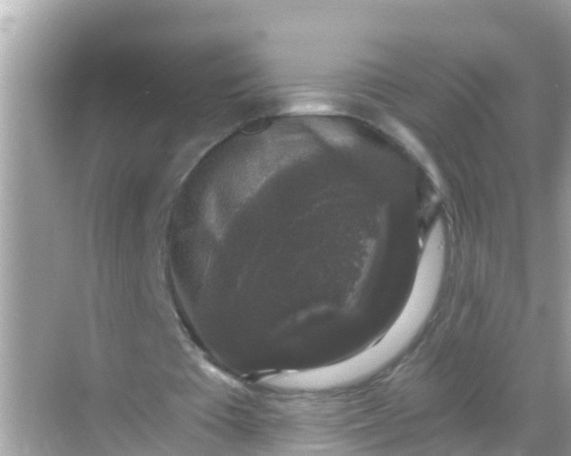 X0000068300385200605051939