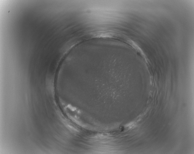 X0000068300386200605051938