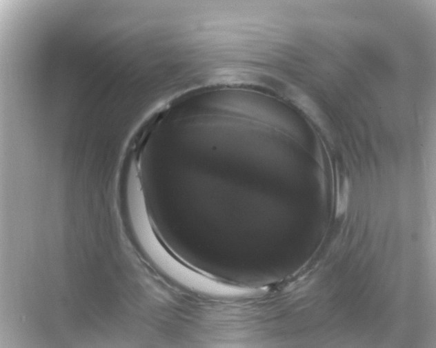 X0000068300387200605051938