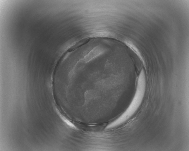 X0000068300389200605051938