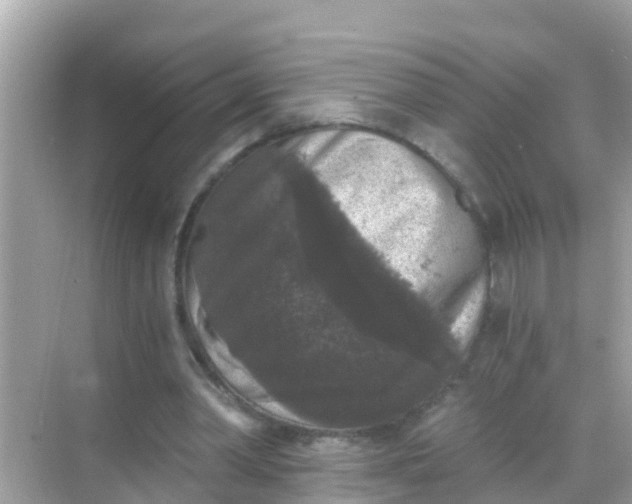 X0000068300390200605051938