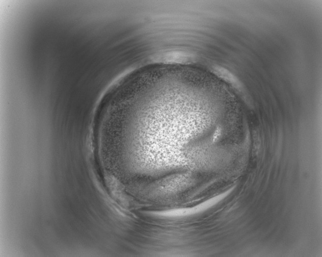 X0000068300392200605051938