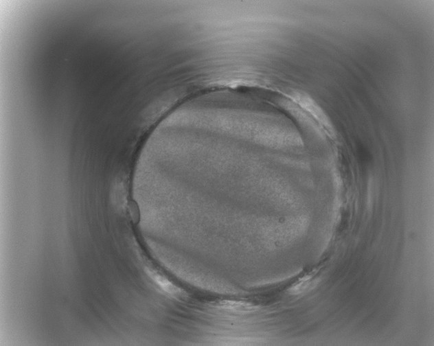 X0000068300393200605051938