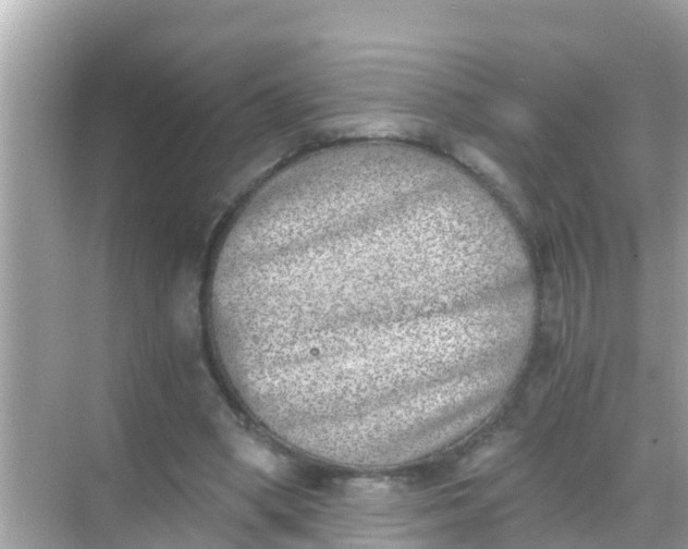 X0000068300394200605051938