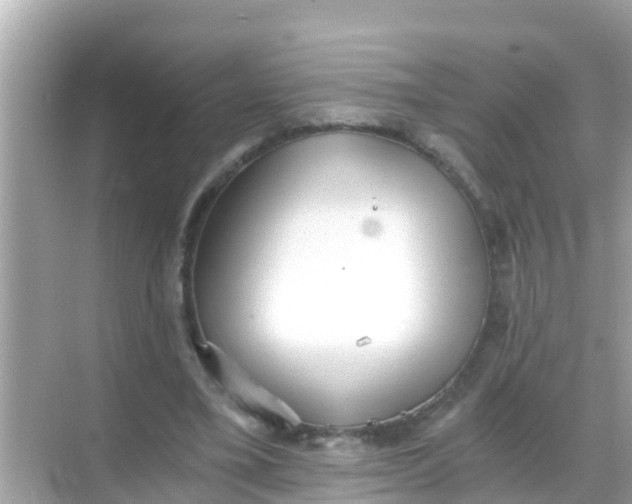 X0000068300395200605051938