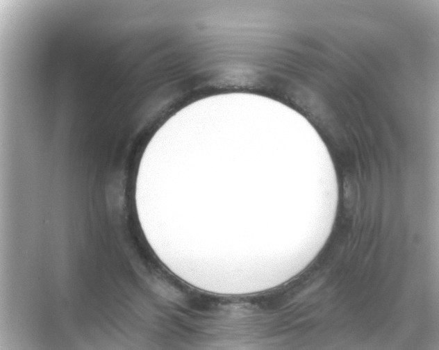 X0000068300396200605051938