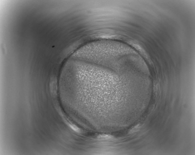 X0000068300397200605051938