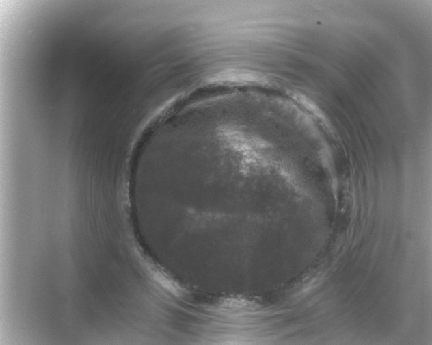 X0000068300399200605051938