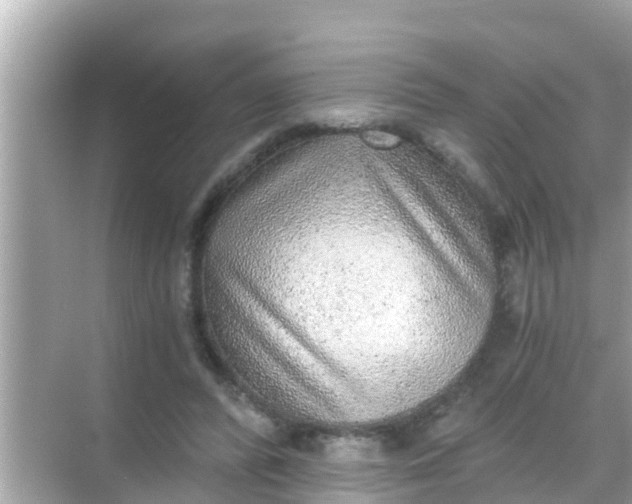 X0000068300400200605051938