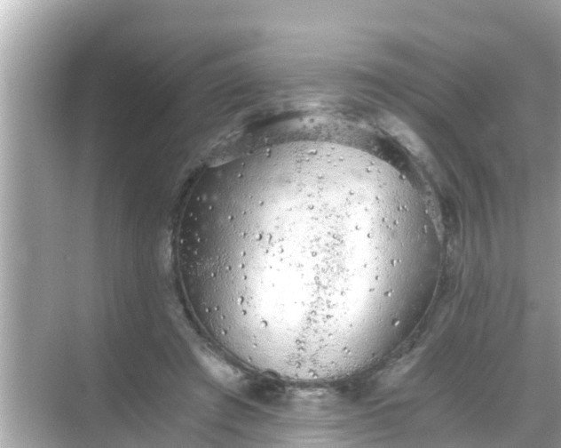 X0000068300401200605051938