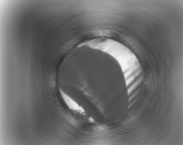 X0000068300402200605051938