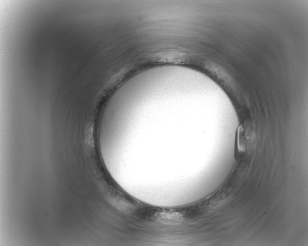 X0000068300403200605051938