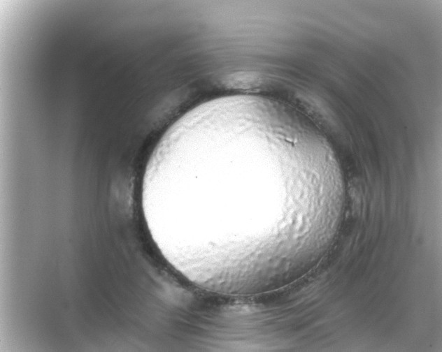 X0000068300404200605051938