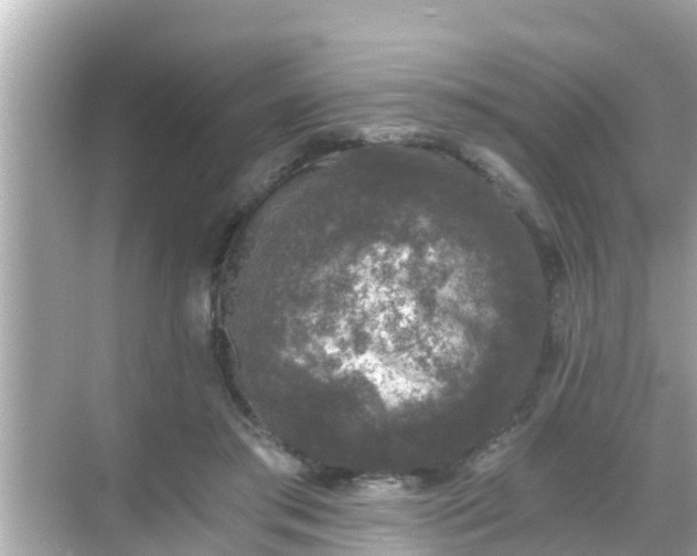 X0000068300405200605051938