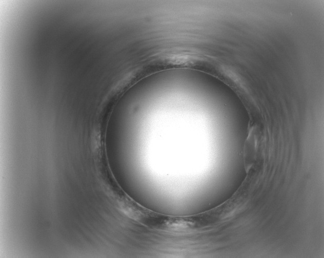 X0000068300407200605051938