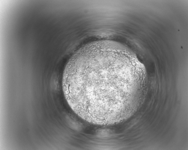 X0000068300408200605051938