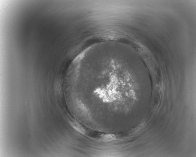 X0000068300409200605051938