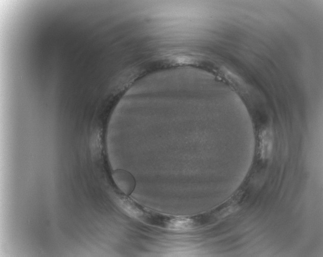 X0000068300410200605051938