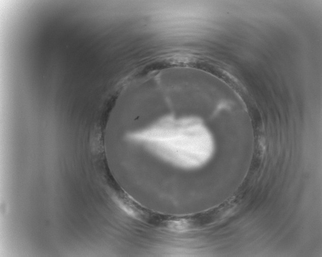 X0000068300411200605051938