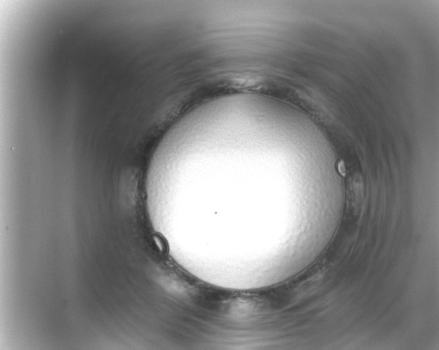 X0000068300412200605051938