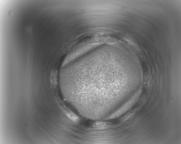 X0000068300413200605051938