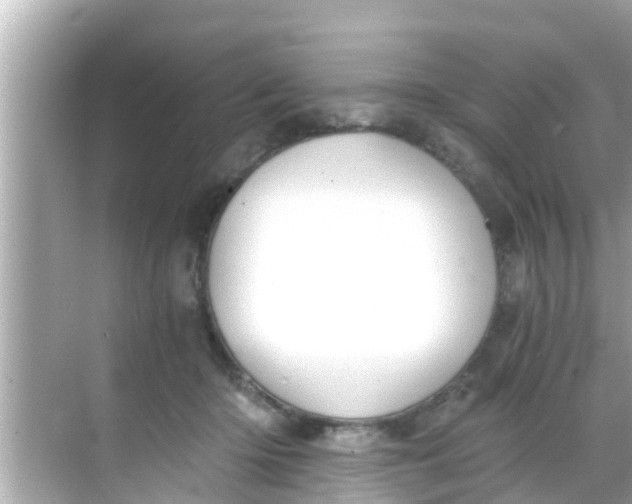 X0000068300414200605051938