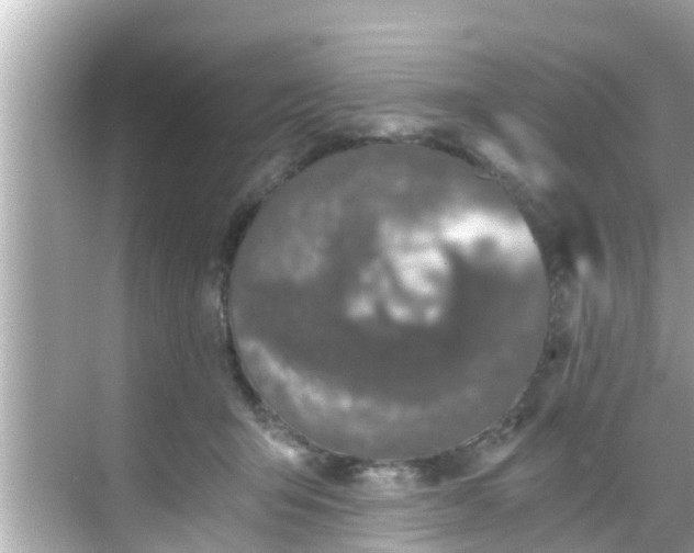 X0000068300415200605051938