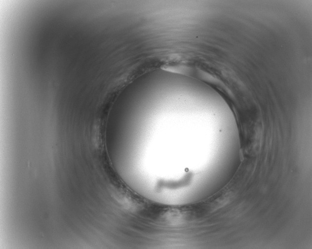 X0000068300416200605051938